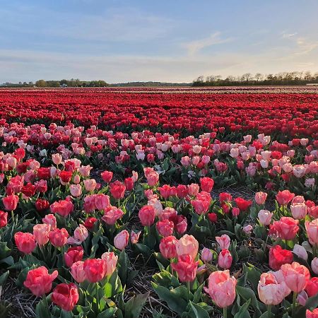 Buitenhuis Egmond Egmond aan den Hoef Zewnętrze zdjęcie